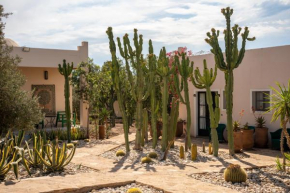 Les jardins de Mogador, La Villa Cactus